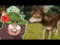 Red Wolves?! Chipmunks?! NEW Animal Mod Adventures!!🐺 Planet Zoo: Redwood Park • #1