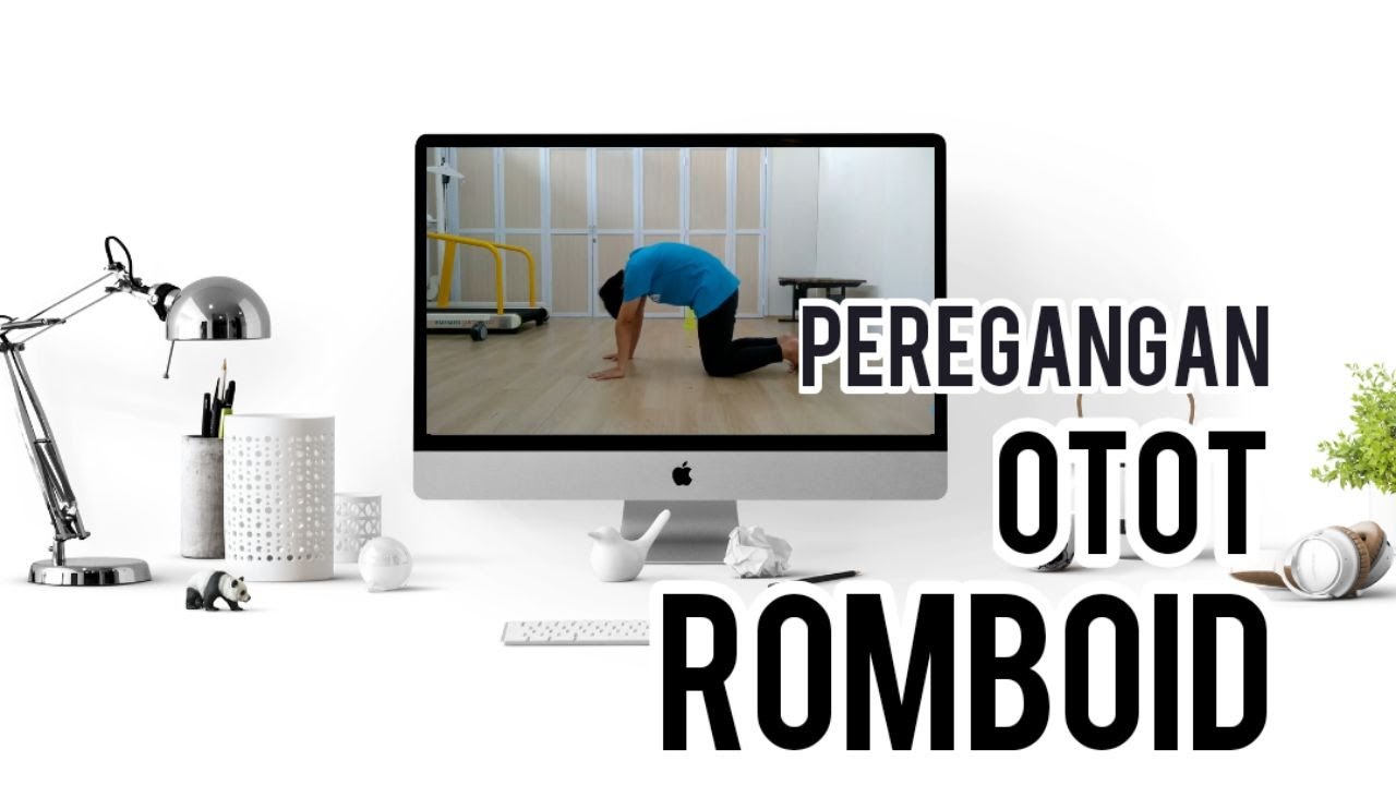 latihan peregangan otot punggung (romboid)