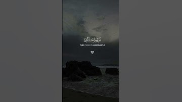 سورة الجاثية | القارئ : ياسر الدوسري ،، اكتب شيئا تؤجر عليه