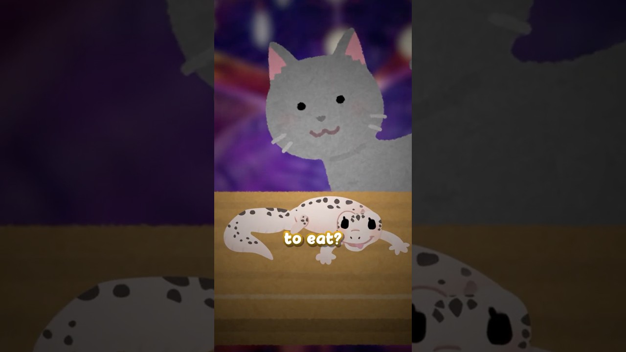 POV: Your cat wants to eat your exotic pet