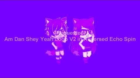 (Requested) Am Dan Shey Yeah Logo V2 in Reversed Echo Spin