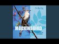 Miniature de la vidéo de la chanson Northern Mockingbird