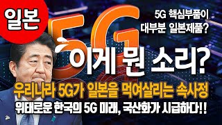 한국의 5G기술이 일본의 먹거리가 된 속사정! 국산화가 시급하다 ㅣ 시사까기인형