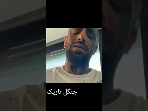 جنگل تاریک اتحاد تتلیتی امیرتتلو تتلو تتلیتیا جنگل تاریک Amir