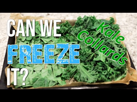 How To Blanch and Store Collard Greens, Preserve and Store Fresh Greens