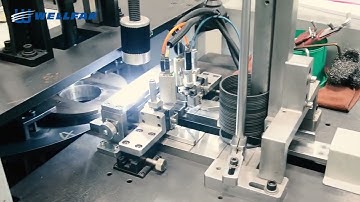 Automatic Piston Ring Final Inspection Machine