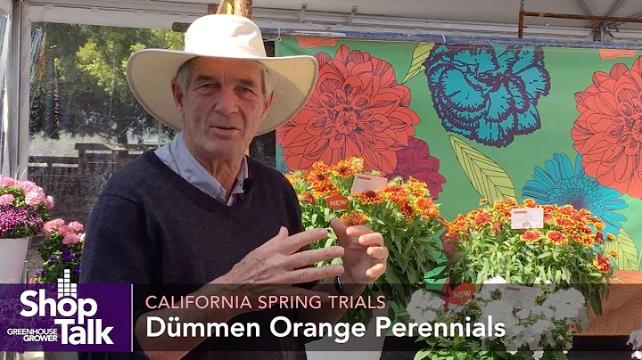 California Spring Trials 2019: Allan Armitage on N...