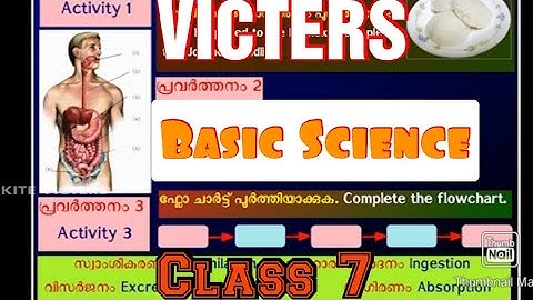 Victers STD 7 Basic Science Activity Worksheet English & Malayalam medium Adisthana Sasthram  11 Jan