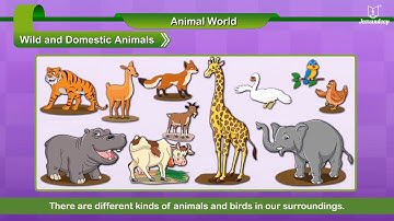 Animal World | EVS Grade 1 | New Spark | Periwinkle