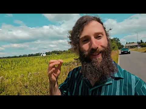 وراء ثنائية العقل يكمن السر الذي يبحث عنه الجميع