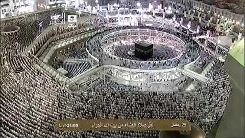 ما تيسر من سورة إبراهيم | عشاء السبت ٢٥ رمضان ١٤٣٤هـ للشيخ صالح آل طالب