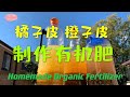 橘子皮和橙子皮是好肥料 可以自制有机肥 Self made organic fertilizer using orange/mandarin skins 橘子和橙子皮 製作有機酵素的方法 72