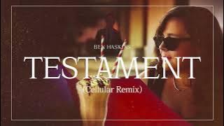 Ben Haskins – Testament (Cellular Remix)| Neo-Classical / Post-Electronic Music - Full Album