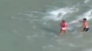 Sharks swim near five children| CCTV English
