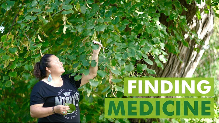 Linda Black Elk Finds 10+ Medicines Growing in 1 C...