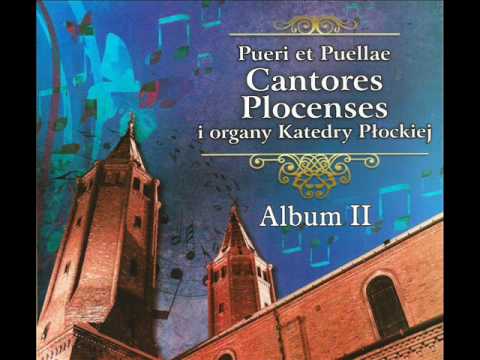 pueri-et-puellae-cantores-plocenses---insanae-et-vanae-curae---j.-haydn