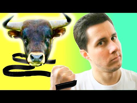 GET Taurus Man