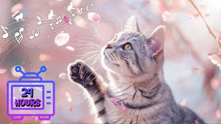 24 HOURS of Music For Cats Relief Stress! Soothing Cat Therapy Music, Peaceful Relax Music #13 by Dream Relax My Cat 2,712 views 3 weeks ago 24 hours