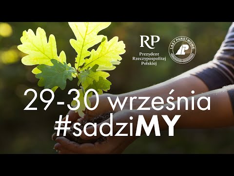 Wideo: Jak dostać się do drzewa Prezydenta?