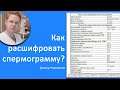 Как расшифровать спермограмму? / Доктор Черепанов