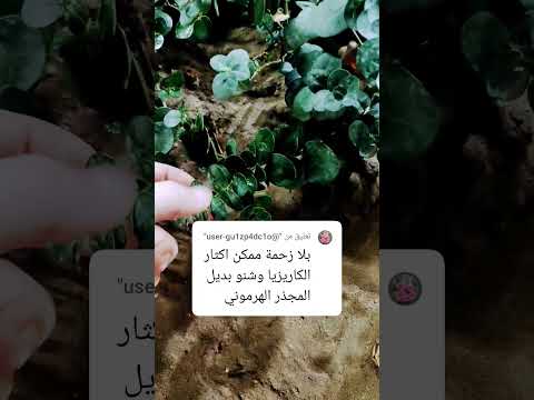 إكثار الكاريزيا أجابت سؤال