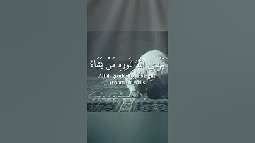 آيات الهداية 🍁 تلاوة خاشعة تبكي القلب 😢بصوت جميل جدا حالات واتس اب قران 😭💚🍃 Quran status