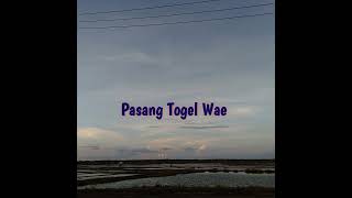 Pasang Togel Wae