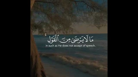 القارئ عبد العزيز الزهراني سورة (النساء)