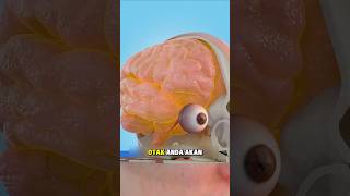 How to check your dominant eye!?😯 #shorts #short #shortsfeed #shortvideo #youtubeshorts