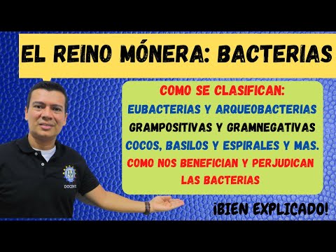 Video: ¿Monera y bacterias son lo mismo?