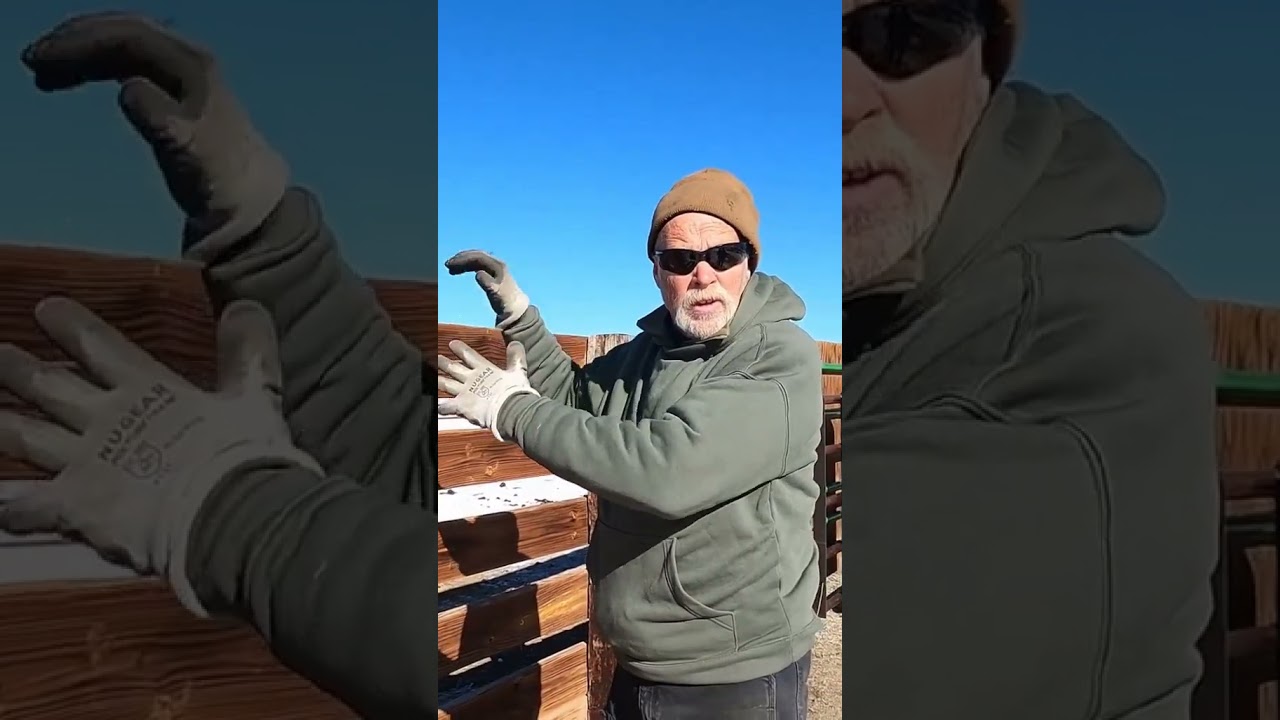 Understanding Yak Behavior: Signaling them to move. 