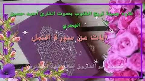 تلاوه جميله جدا تريح القلوب بصوت القارئ أحمد حسين الهجري من سورة النمل