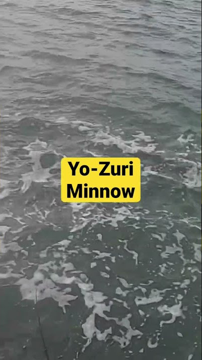 YO-ZURI Lures Live Bait Minnow 
