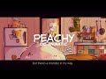 7little pickle town  peachy