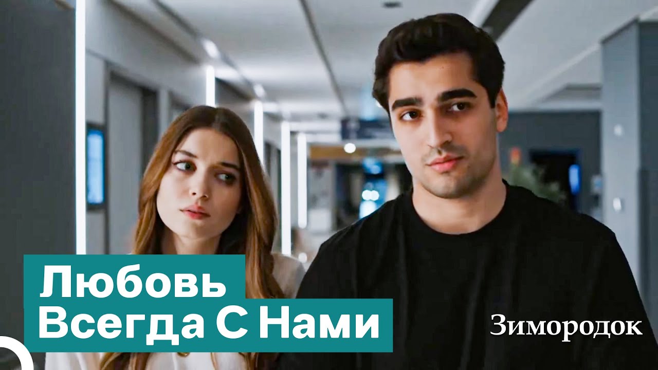 Давай Примем, Что Наши Судьбы Стали Одним Целым | Зимородок