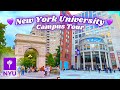 NYU Campus Tour Mp3 Song