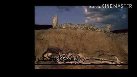 تلاوه حزينة جدا لشيخ/شرف الفتى...صلاة القيام 2020.  رمضان