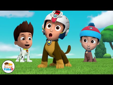 Paw Patrol Face Swap | Marry Christmas episode 02 | 2023 |