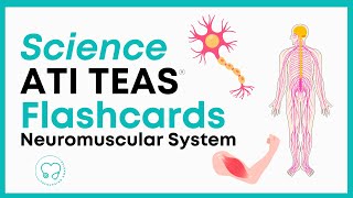 TEAS Science Flashcards: Anatomy and Physiology (Part 1) by Prenursing Smarter 2,470 views 4 months ago 8 minutes, 43 seconds