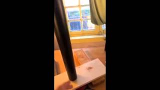 Sand experiment 3:  transfer of weight through force chains