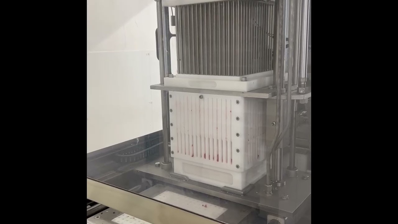 DFSYK Skewering machine