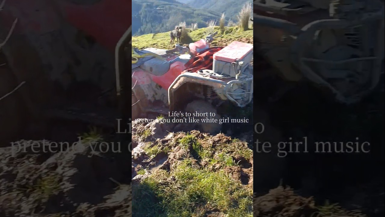 pig hunting and Farming in NZ 