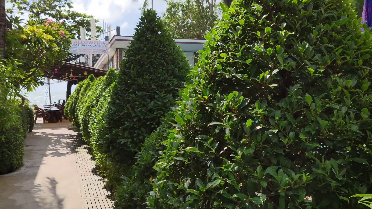 ARK Bar HOTEL. Samui. Thailand 2020