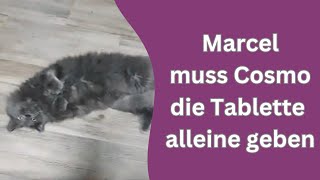 noch ein Video von Marcel und wieder dropt er etwas!