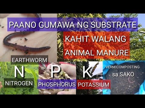 Video: Mga Sangkap Para Sa Substrates