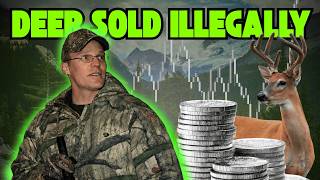 Wild Justice FULL EPISODE | S2 E3 | SELLING ON THE BLACK MARKET