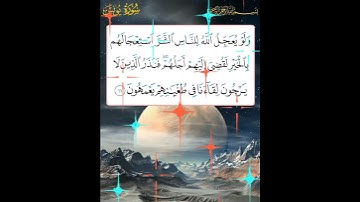 سورة يونس الآية ( 11 )