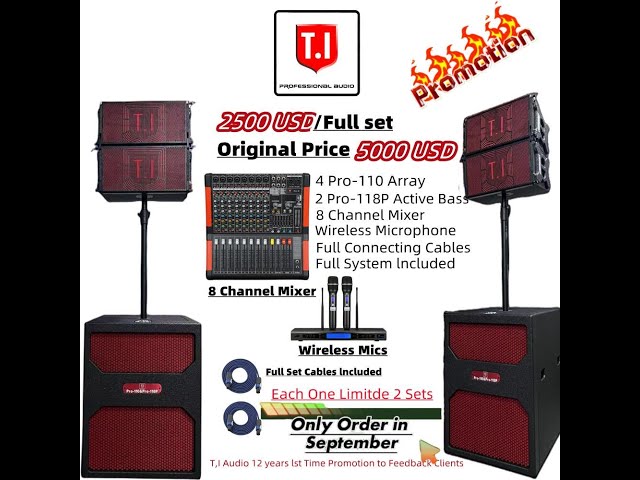 TI PRO AUDIO PRO 110 single 10 inch line array speaker sound system sound event Promotion products class=