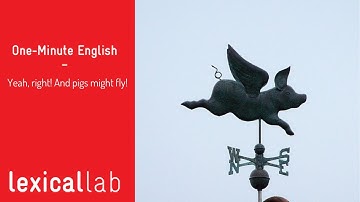 ONE-MINUTE ENGLISH: Yeah, right! And pigs might fly! LEARN WITH LEXICAL LAB