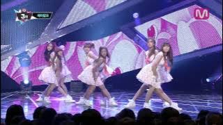 에이핑크_NoNoNo (NoNoNo by Apink@M COUNTDOWN 2013.8.1)